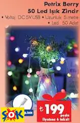 PETRİX BERRY 50 LED IŞIK ZİNCİR PETRİX BERRY 50 LED IŞIK ZİNCİR